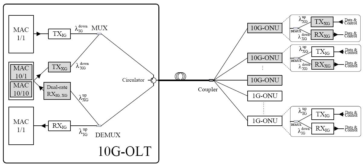 Fig. 2. A typical network architecture for the co-existence of 1G- and 10G-EPONs